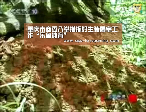 重庆市商委八举措抓好生猪屠宰工作“乐鱼体育”(图1) 乐鱼app