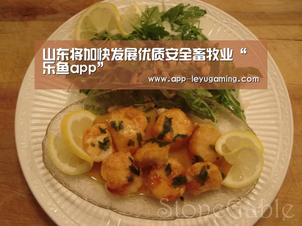 山东将加快发展优质安全畜牧业“乐鱼app”(图2) 乐鱼app